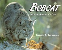 Bobcat: North America's Cat