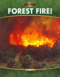 Forest Fire (Nature's Fury)