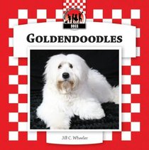 Goldendoodles (Designer Dogs Set 7)