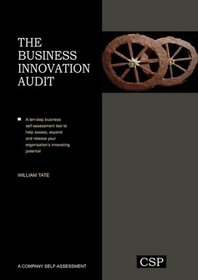 The Business Innovation Audit