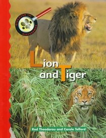 Lion and Tiger (Discover the Difference)