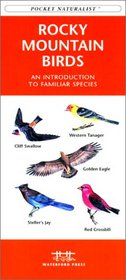 Rocky Mountain Birds (Pocket Naturalist - Waterford Press)