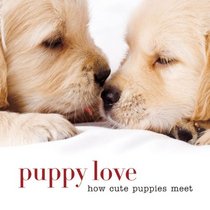 Puppy Love: How Cute Puppies Meet