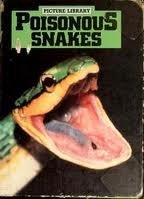Poisonous Snakes (Picture Library)