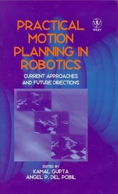 Practical Motion Planning in Robotics: Current Approaches and Future Directions