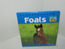 Foals (Baby Animals)