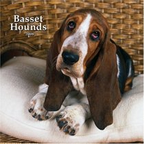 Basset Hounds 2008 Square Wall Calendar (German, French, Spanish and English Edition)
