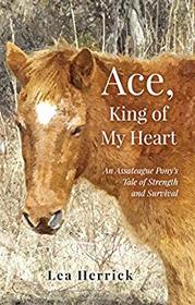 Ace, King of My Heart: An Assateague Pony's Tale of Strength and Survival