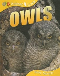 Owls (Qeb Animal Lives)