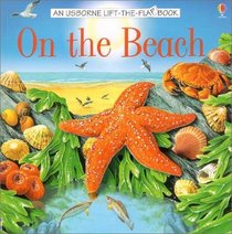 On the Beach (Lift-the-Flap Learners)