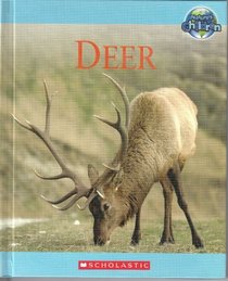 Deer (Nature's Children)