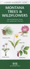 Montana Trees & Wildflowers: An Introduction to Familiar Species (Pocket Naturalist - Waterford Press)