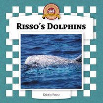 Risso's Dolphins (Dolphins Set II)
