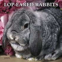 Lop-Eared Rabbits 2005 Wall Calendar