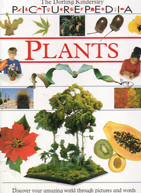 Plants (Dorling Kindersley Picturepedia)