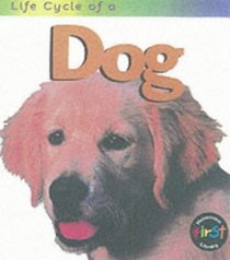Life Cycle of a Dog (Life Cycle of a...)