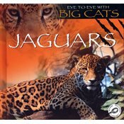 Jaguars (Eye to Eye With Big Cats)