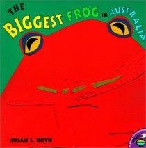 Biggest Frog in Austrailia
