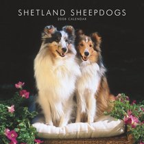 Shetland Sheepdogs 2008 Square Wall Calendar (German, French, Spanish and English Edition)