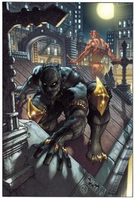 Black Panther: The Man Without Fear, Vol. 1