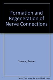 Formation and Regeneration of Nerve Connections