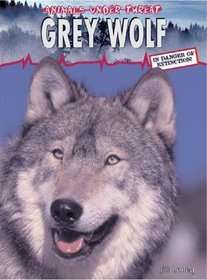 Grey Wolf (Animals Under Threat)