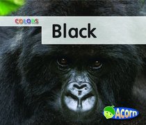 Black (Acorn)