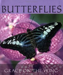 Butterflies: Grace on Wings (Little Books)