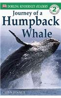 Journey of the Humpback Whale