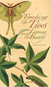 Teaching The Trees: Lessons From The Forest