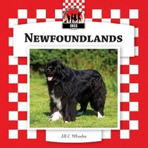 Newfoundlands (Dogs Set 8)
