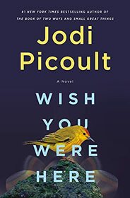 Wish You Were Here: A Novel
