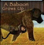 A Baboon Grows Up (Wild Animals)