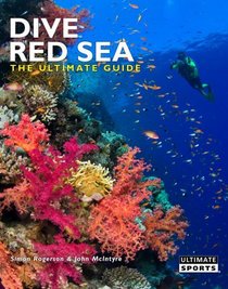 Dive Red Sea: The Ultimate Guide