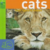 Cats: From Tigers to Tabbys (Animal Planet)