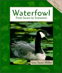 Waterfowls: From Swans to Screamers (Animals in Order (Econoclad))
