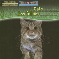Cats Are Night Animals / Los Felinos Son Animales Nocturnos (Night Animals / Animales Nocturnos)