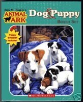 Dog & Puppy Set (Hound at the Hospital, Puppy in a Puddle, Dog at the Door, Puppies in the Pantry) (Animal Ark)