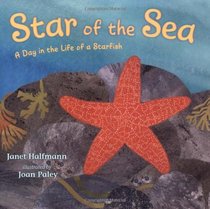 Star of the Sea: A Day in the Life of a Starfish