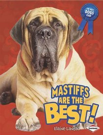 Mastiffs Are the Best! (The Best Dogs Ever)