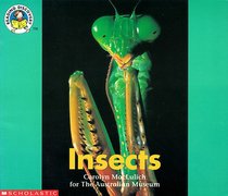 Insects (Reading Discovery)