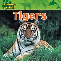 Tigers (Amazing Animals)