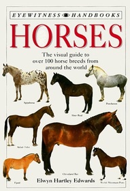 Eyewitness Handbook: Horses