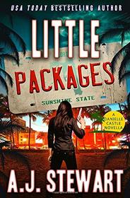 Little Packages: A Mystery Novella (Danielle Castle, Bk 1)