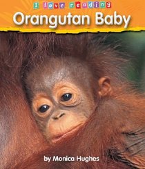 Orangutan Baby (I Love Reading)