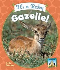 It's a Baby Gazelle! (Baby African Animals)