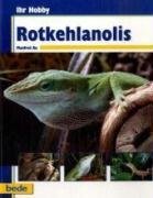 Ihr Hobby Rotkehlanolis