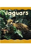 Jaguars (Pebble Books)