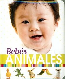 Bebes Animales