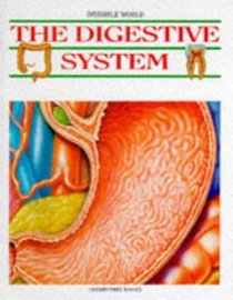 The Digestive System (Invisible World)